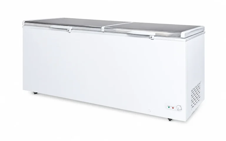 BD JUMBO Jumbo Storage Freezer, two lids