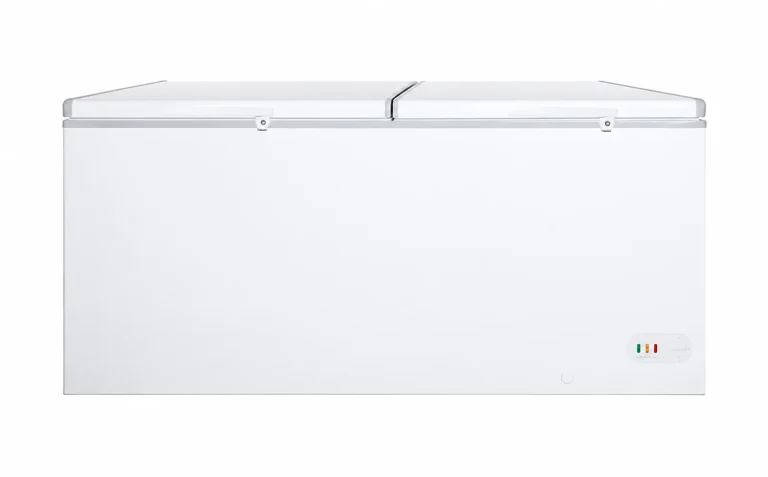 BD JUMBO Jumbo Storage Freezer, BD-1050