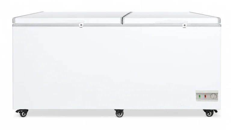 BD JUMBO Jumbo Storage Freezer, on casters