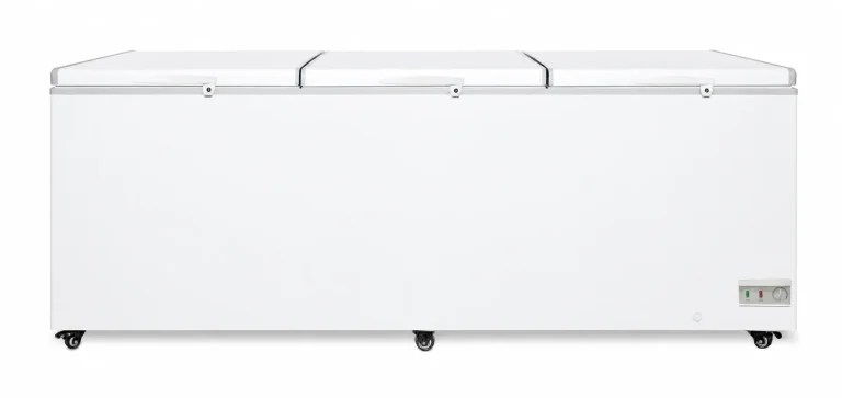 BD JUMBO Jumbo Storage Freezer, BD-1250 on casters