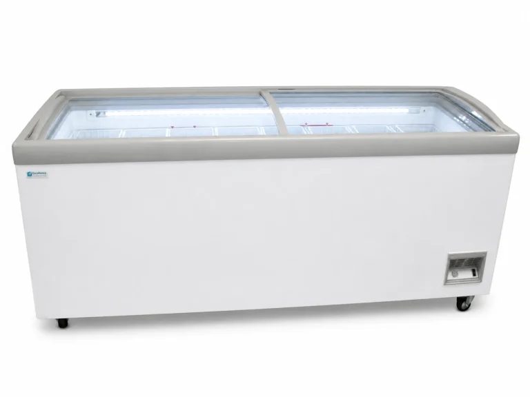 HM Jumbo Freezer And Ice Cream Freezer, front view